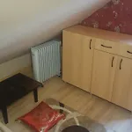 Deru * Mezokovesd